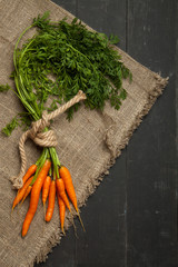 Carrots with Green Tops On a Black Slate Background. Copy Space