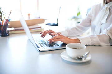 Businesswoman with laptop at the desk in her office.