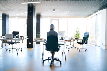 Fototapeta premium Businesswoman in her office working. Rear view.