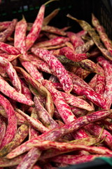 fagioli borlotti