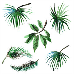 Fototapeta premium Watercolor hand painted tropical palm leaves isolated on white