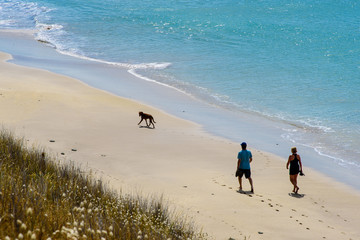 Spaziergang mit Hund am Strand