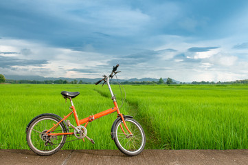 Fototapeta na wymiar Bicycle with green rice field.