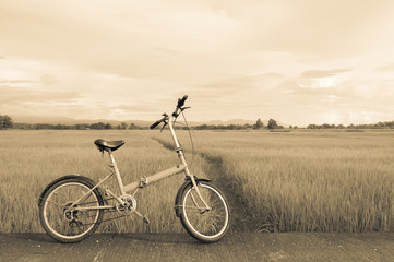 Fototapeta na wymiar Bicycle in the filed.vintage style