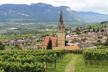 Termeno - Tramin in South Tyrol, Italy