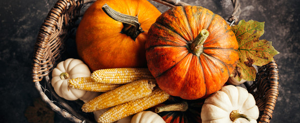 Pumpkins and corn in the basket, top view.