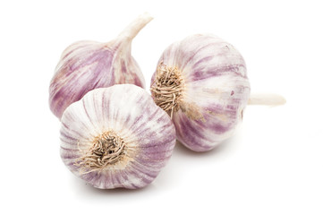 garlic isolated on white background