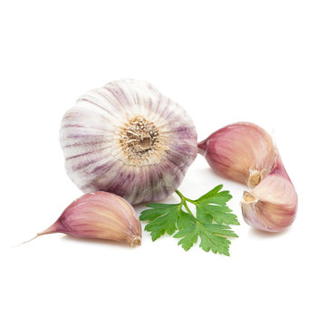 garlic  with parsley greenery isolated on white background