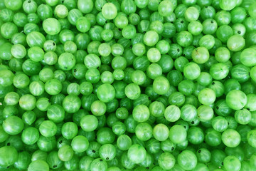 green gooseberries