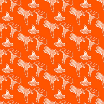 Pretty sketched seamless pattern made of hand drawn chanterelle.