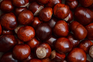 Chestnuts autumn background fall retro photo 5