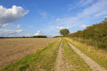 yorkshire wolds farm track
