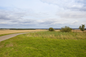 Fototapeta premium bridleway and farm pond
