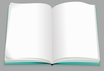 Blank Book template Vector