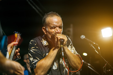 Blues singer plays harmonica