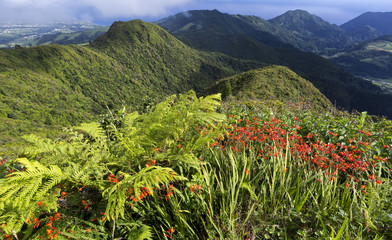 Fototapeta na wymiar Green landscape on top of Miradouro do Salto do Cavalo in Sao Miguel, Azores Islands, Portugal.