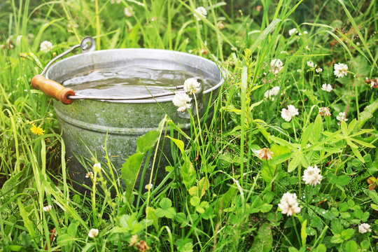 Bucket with rain water