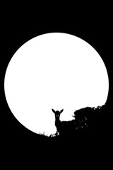 contours of a deer and the moon in black and white