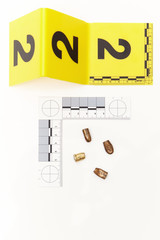 Police evidence of ammunition - bullets removed from victim and place of crime