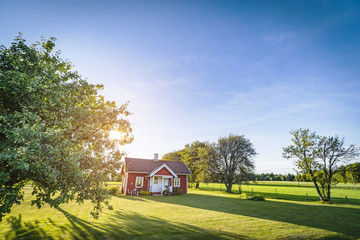 Small red house on a swedish countryside landscape - Powered by Adobe