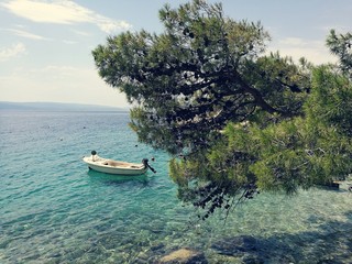 Motorboat And Tree Above The Adriatic Sea