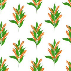 Quinoa seamless pattern. Vegetarian food. Cartoon flat style. Vector illustration