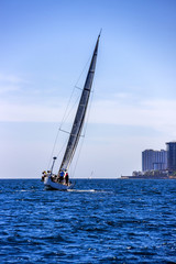 Naklejka premium yacht in the sea