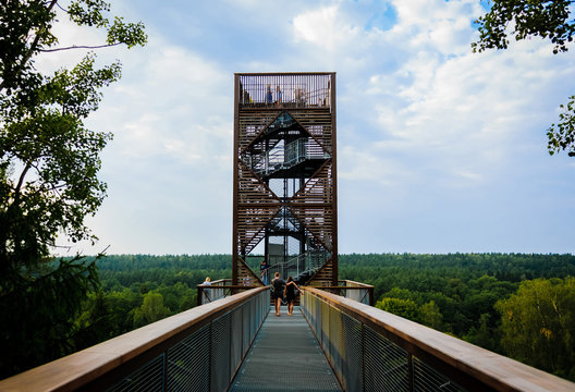 Anyksciai tower above the forest