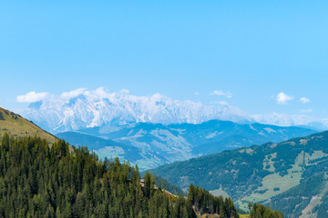 mountains with forest