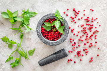 berries and herbs in mortar for making spices in food set on stone background top view