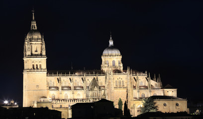 Salamanca Old and New Cathedrals illuminated at night, Spain