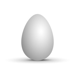 vector realistic egg. Isolated on white background. 