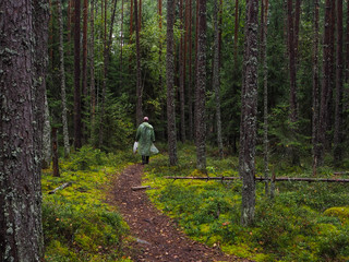 Mystical rain forest. Deep in the forest. The Forester goes on the trail through the dense forest.
