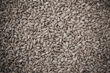 Sunflower seeds