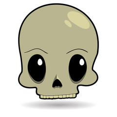 Cartoon vector skull.Skull illustration.
