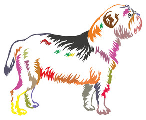 Obraz na płótnie Canvas Colorful decorative standing portrait of dog Griffon Belge vector illustration