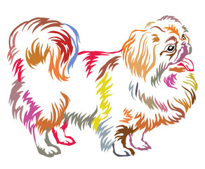 Colorful decorative standing portrait of dog Pekingese vector illustration