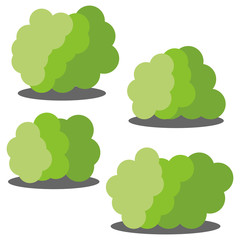Set of four different cartoon green bushes isolated on white background. Vector illustration
