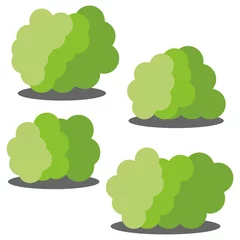 Foto auf Acrylglas Set of four different cartoon green bushes isolated on white background. Vector illustration   © dniprodd