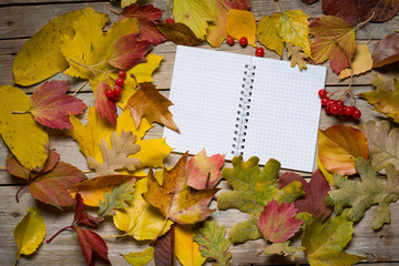 Naklejka na ściany i meble Autumn leaves on wooden boards and notebook