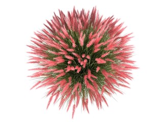 3d rendering of a flower bush from top view isolated on white