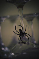 halloween spider decoration
