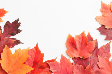 Naklejka na ściany i meble Autumn leaves on a white