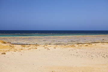 Marine landscape of Marsa Alam (Red Sea), Egypt