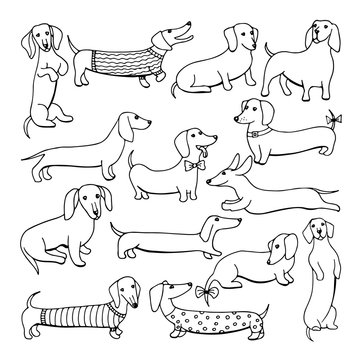 Set of dog dachshund illustrations
