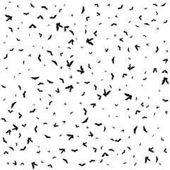 Swarm of bats on the white background.