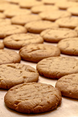 Making of Peanut Butter Cookies