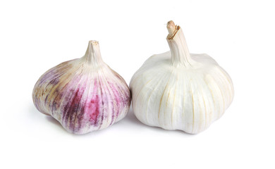 Tête d'ail violet et blanc © hcast