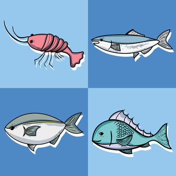 set fishing recreation with special tools vector illustration