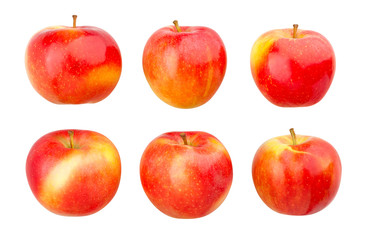 red apple path isolated